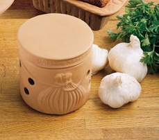 ceramic gourmet garlic keeper for storing garlic