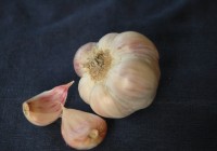 Gourmet Organic Garlic